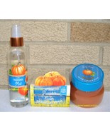 Spiced Pumpkin Cider Bath and Body Works Fragrance Mist Body Scrub Body ... - €41,14 EUR