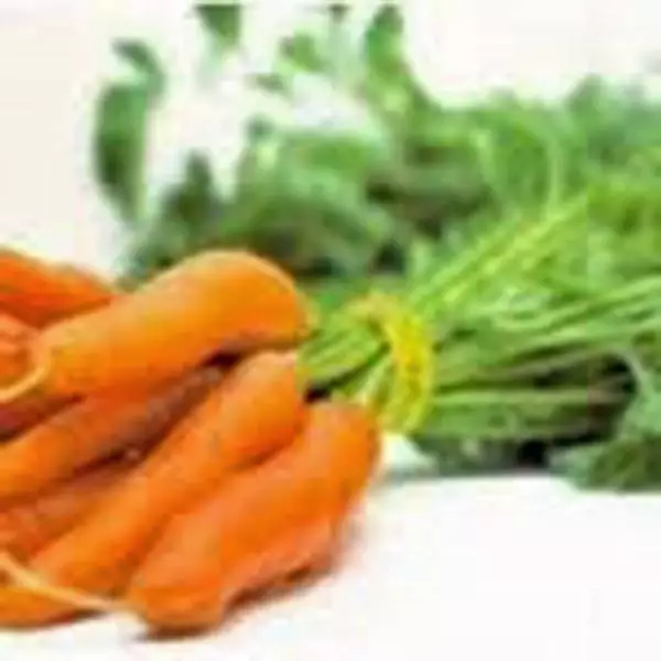 100+ Seeds Carrot, Little Finger, Seeds Non GMO Carrots, Seed - £9.90 GBP