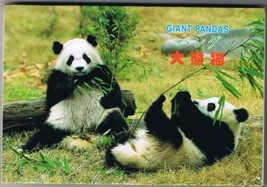 Postcard Set Of 10 Giant Pandas Qinghai Tibet Plateau - £5.82 GBP