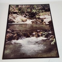 Vintage 1970s Photograph Photo Picture Color VTG Oregon Blossom Bear Creek - £14.38 GBP