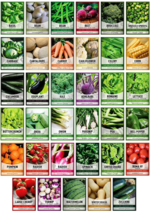 Survival Vegetable Seeds Garden Kit - 16,000+ Non-GMO Heirloom Seeds for Emergen - £32.95 GBP