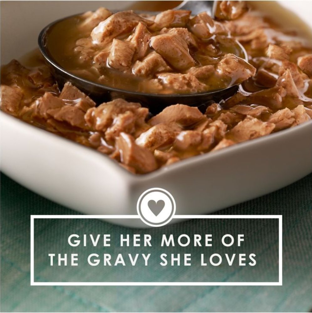 Fancy Feast Gravy Lovers Adult Grilled Chicken Wet Cat Food, 3 oz - 1 Single Can Item image 6