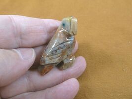 (y-bir-pa-13) tan red PARROT Macaw bird gemstone SOAPSTONE carving I lov... - $8.99