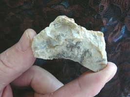 (DF833-7) 1 Oz Fossil Real Dinosaur Poop Coprolite Dino Utah Jurassic Dung Scat - £9.77 GBP