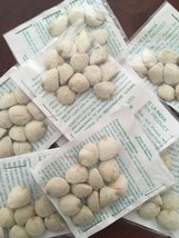 AVAILABLE 20 Packs Indian Nuts Nuez India  total 120 Seeds, The Original. - £78.48 GBP