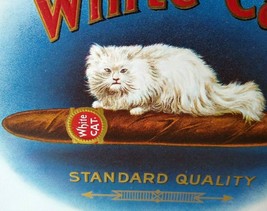 Fluffy White Cat Vintage Box Label Original Embossed Kitten Sits On Cigar 1920s - £16.06 GBP