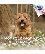 NORFOLK/NORWICH Wall Calendar 2025 DOG Lover Pet Lover Gift Breed - $24.74