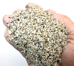 3.5 Gal. Propagation Grade Pumice -1/8-1/64&quot;-SEED STARTING-CUTTINGS-POTTING Soil - £14.38 GBP