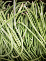 Yard Long Cowpea Bean Seeds 50+ | Heirloom Non-Gmo Variety - £6.73 GBP