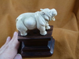 hippo-8) little Hippo of shed ANTLER figurine Bali detailed carving love... - $59.60