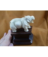 hippo-8) little Hippo of shed ANTLER figurine Bali detailed carving love... - $59.60