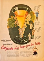 Wine Selector California Wines Grapes Help  you live good-1954 Vintage P... - $181.16 MXN