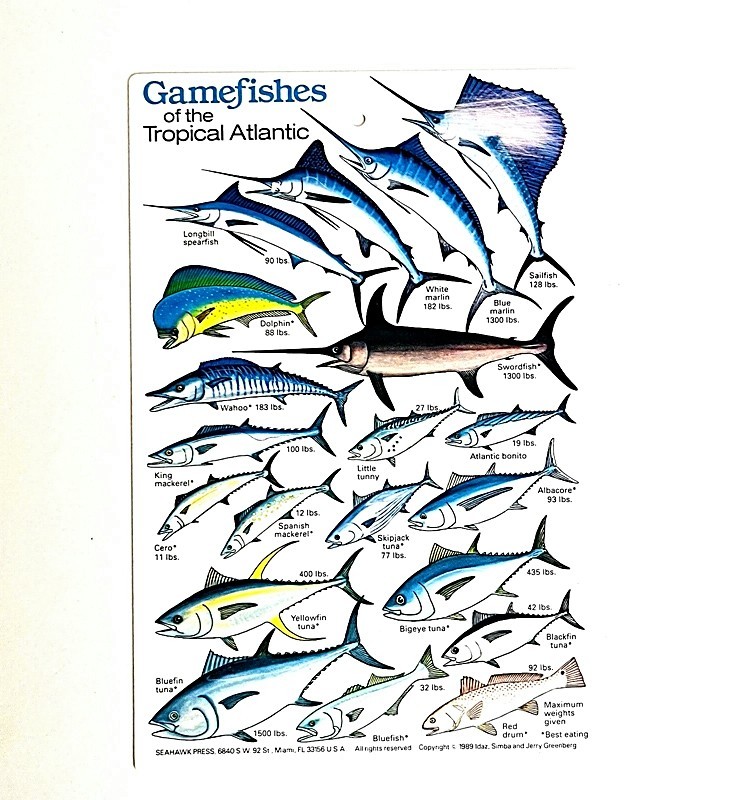 Primary image for BOOK GAME FISHES OF THE TROPICAL ATLANTIC SEAHAWK 