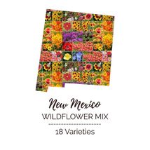 Wildflower NEW MEXICO State Flower Mix Perennials Annuals NonGMO 1000 Seeds - £7.56 GBP