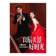 Love Scenery Chinese Drama - £54.03 GBP