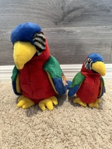 NWT RETIRED Ty Beanie BUDDY &amp; Beanie BABY JABBER -The Parrot lot of 2 - £11.94 GBP