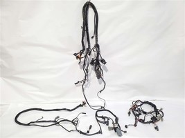 Complete Harness OEM 2005 Harley Davidson Ultra Classic Electra Glide Low - $2,779.86 MXN