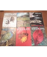 Lot of 6 National Wildlife Magazines Complete 1974 - FREE SHIPPING - $243.00 MXN