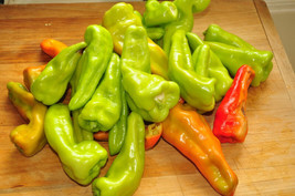 Septh 200 Heirloom Banana Pepper Sweet Yellow Capsicum Annuum Vegetable Seeds *C - $6.00