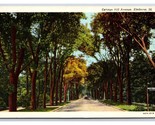 Cottage Hill Avenue Street View Elmhurst Illinois IL UNP WB Postcard W7 - $2.92