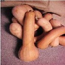 Tahitian Butternut Squash Seeds Gardening Easy Grow USA SHIPPING - £6.95 GBP