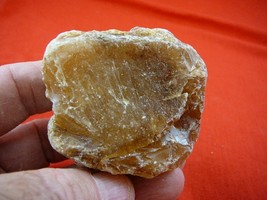 (k-3043) 55 g Rare Kauri tree Gum copal young Amber New Zealand Tane Mahuta - $71.98