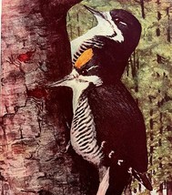 Arctic Three Toed Woodpecker 1936 Bird Art Lithograph Color Plate Print ... - $212.94 MXN