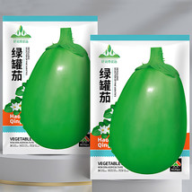 Xi An Green Allure Unveiling The Green Eggplant Seeds Garden Beautiful USA SELLE - £8.60 GBP