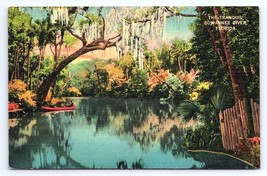 Postcard Tranquil Suwannee River Florida FL - £2.96 GBP