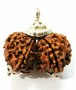 Pendentif Gauri Gouri Gowri Shankar Rudraksha Népal Pure Silver Cap... - £121.64 GBP