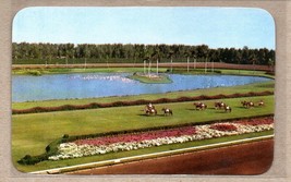 Horse Racing at Hialeah Race Course Florida Parading to the Post Postcard - $10.38