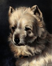 painting Giclee Art Griff Dog by J. B. A. Lafosse. Pets   Print Canvas - £6.77 GBP+
