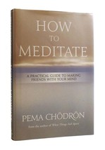 Pema Chodron How To Meditate 1st Edition 1st Printing - £47.22 GBP