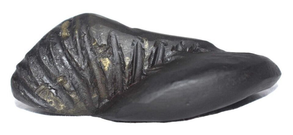 Sacred Shesha Ananta Shaligram - Gandaki River Nepal Item image 3