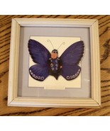 Anne Geddes Litho Print Patrick as a Butterfly Blue Boy Nursery Framed W... - £10.28 GBP