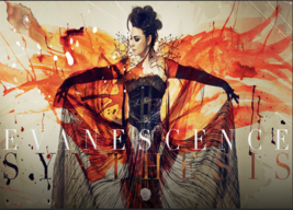 Evanescence Synthesis Flag Cloth Poster Tapestry Banner Rock Amy Lee - $20.00