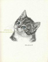 #224 KITTEN looking up *  CAT art print *  pen &amp; ink drawing by Jan Jellins - $12.50