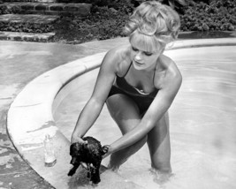 Elke Sommer 8x10 Photo with little puppy by swimming pool in bathing cos... - $7.99