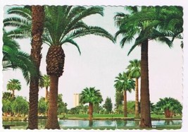 Arizona Postcard Phoenix Encanto Park - $2.17
