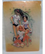 Love Hina Beach Picnic Transparent Pencil Board Ken Akamatsu - $22.50 CAD