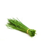 Fine Leaf Chive Seeds Fast Delicious Herb Half Gram 300 Seeds Fast US Sh... - $276.12 MXN