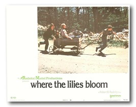 &quot;Where The Lilies Bloom &quot; Original 11x14 Authentic Lobby Card 1974 Poster - £27.11 GBP