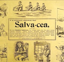 Salvacea Quack Medicine 1894 Advertisement Victorian Medical Pictorial 1... - £23.59 GBP