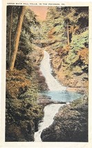 Upper Buck Hill Falls, The Poconos, Pennsylvania, vintage postcard - $11.99