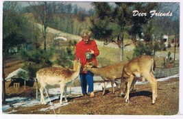 Ontario Postcard Cobourg Greetings Deer Friends  - £2.32 GBP