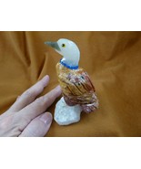 (y-duc-503) orange white  blue duckling Duck carving stone gemstone PERU... - £22.08 GBP