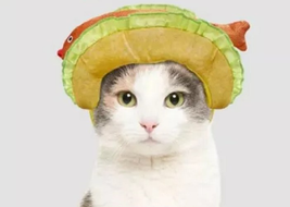 NEW Kitty Cat Hat Fish Taco Halloween Costume Goldfish Funny Headpiece - $128.46 MXN