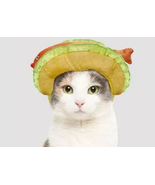 NEW Kitty Cat Hat Fish Taco Halloween Costume Goldfish Funny Headpiece - $128.46 MXN