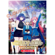 DVD Anime Kinsou No Vermeil:Gakeppuchi Majutsushi(1-12End)Eng Sub Japanese - £16.43 GBP