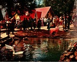 Cool Pond at Santa&#39;s Workshop Cascade Colorado CO Chrome Postcard B7 - $2.92